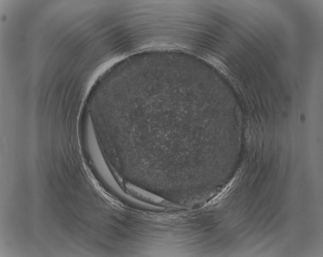 X0000065261030200603031823