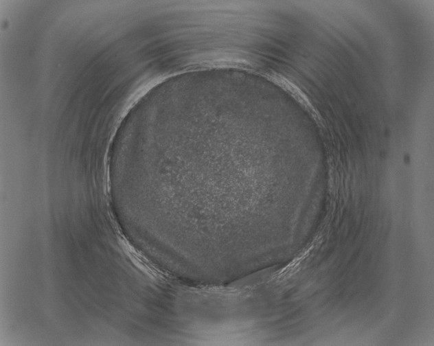 X0000065261031200603031823