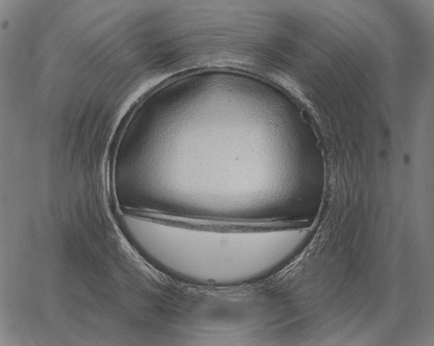 X0000065261032200603031823