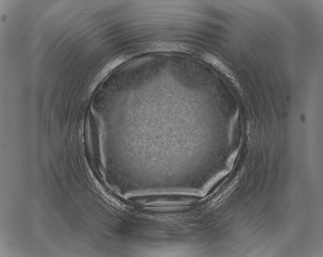 X0000065261033200603031823