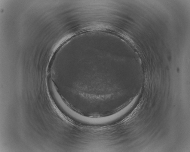 X0000065261034200603031823