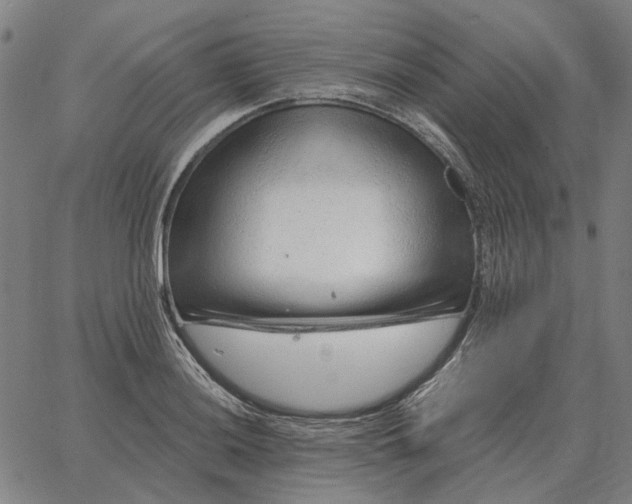 X0000065261036200603031823