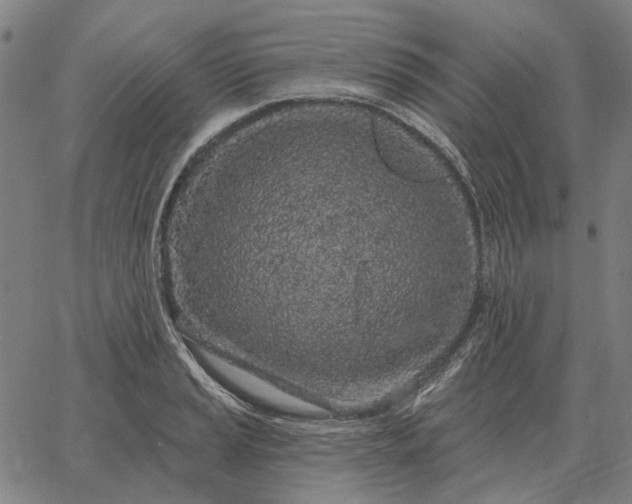 X0000065261037200603031823