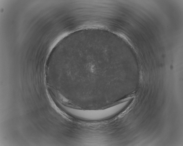 X0000065261038200603031823