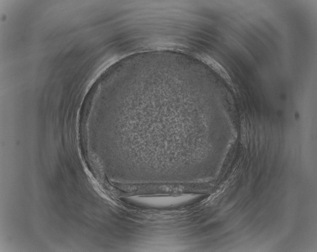 X0000065261039200603031823