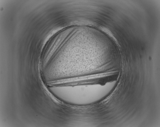 X0000065261040200603031823