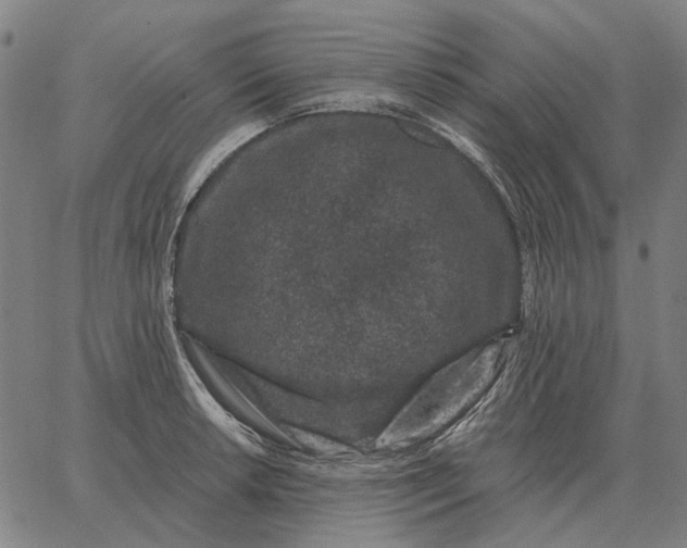 X0000065261042200603031823