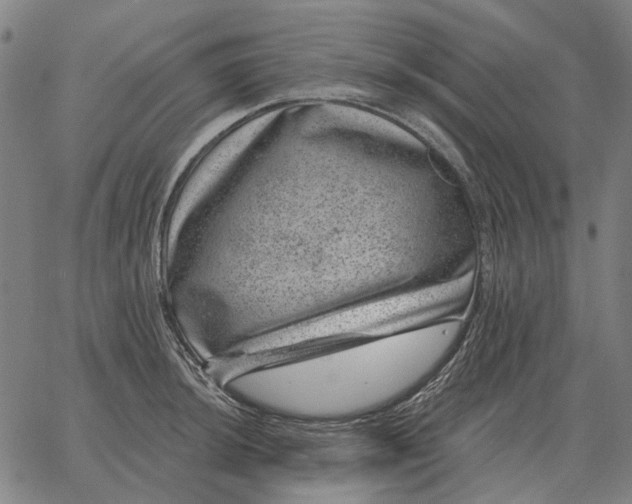 X0000065261044200603031823