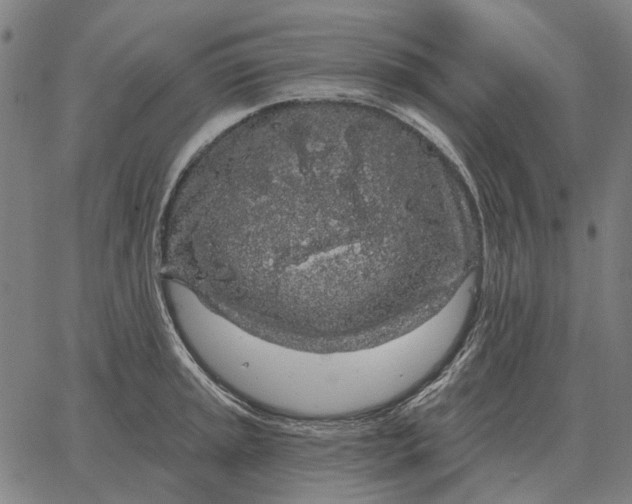 X0000065261045200603031823