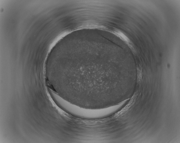 X0000065261046200603031824