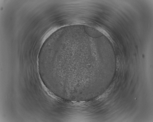 X0000065261047200603031824