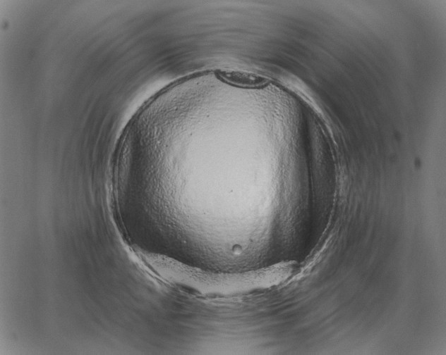 X0000065261048200603031824