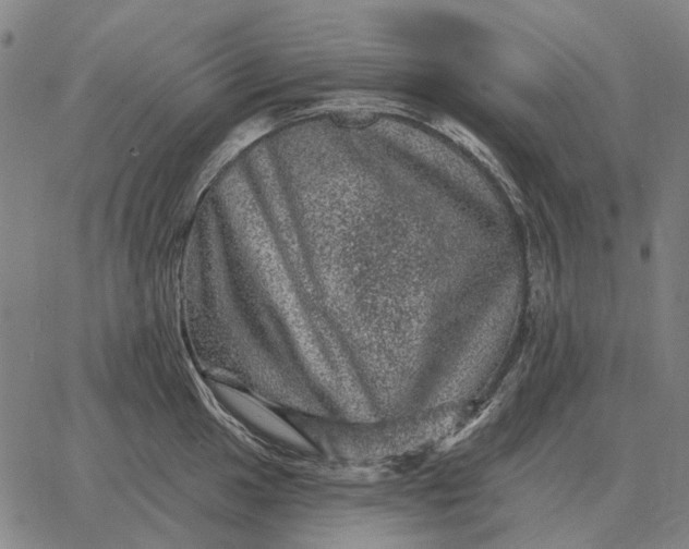 X0000065261049200603031824