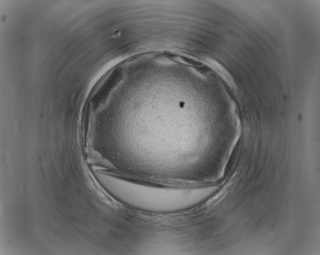 X0000065261052200603031824