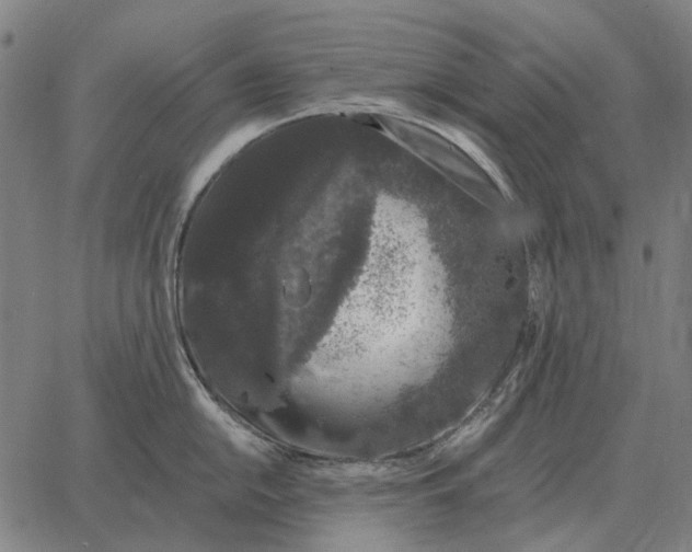 X0000065261054200603031824