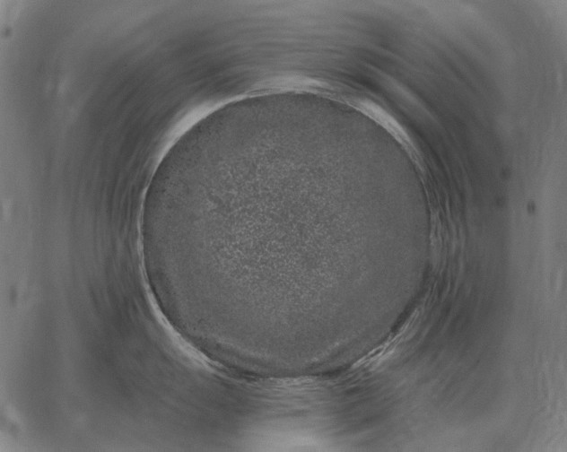 X0000065261055200603031824