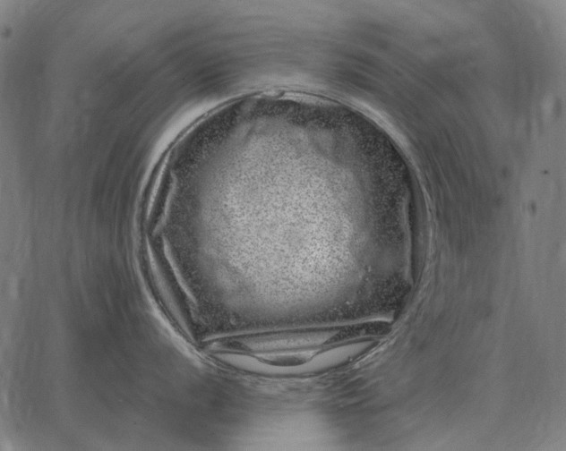 X0000065261056200603031824