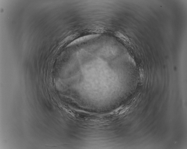 X0000065261057200603031823