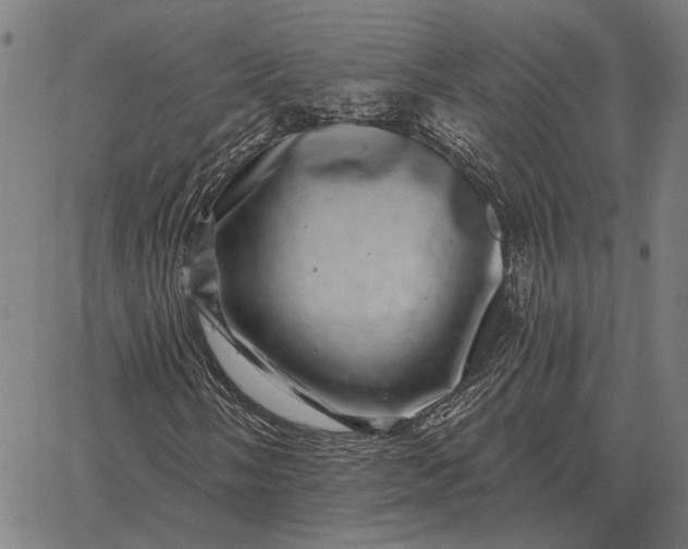 X0000065261058200603031823