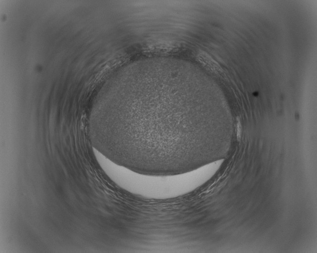 X0000065261059200603031823