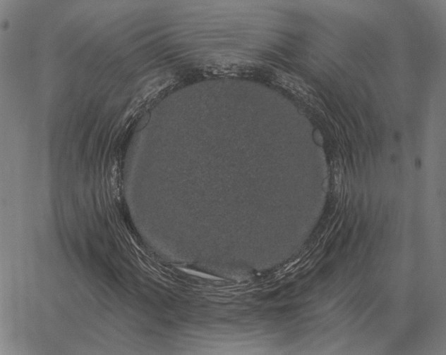 X0000065261060200603031823