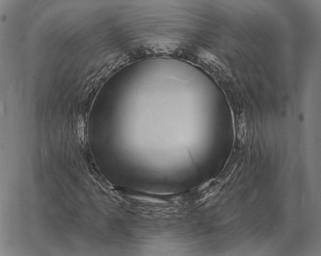 X0000065261061200603031823