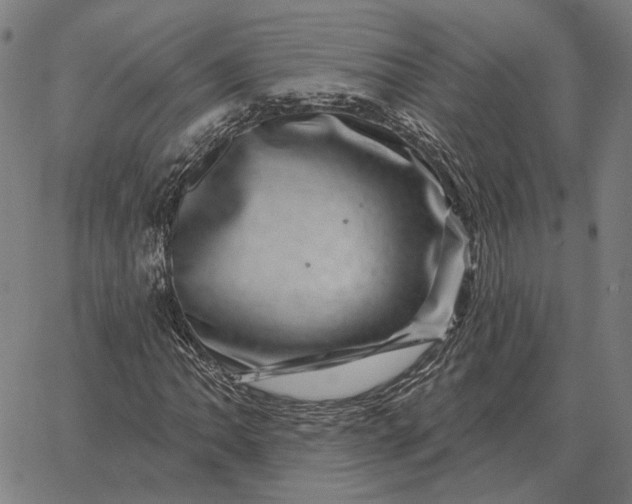 X0000065261062200603031823