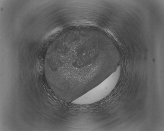 X0000065261063200603031823