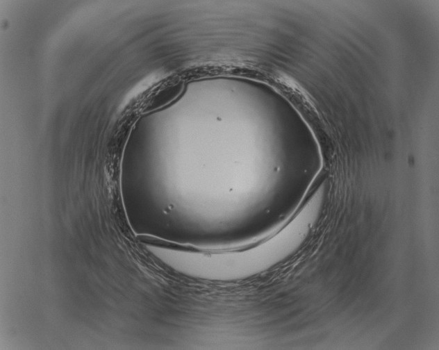 X0000065261064200603031823