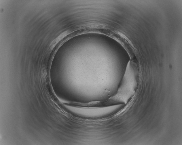 X0000065261065200603031823