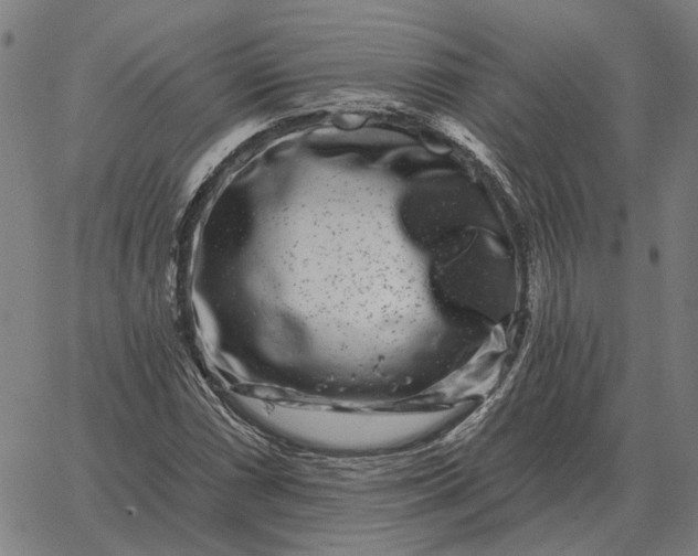 X0000065261066200603031823