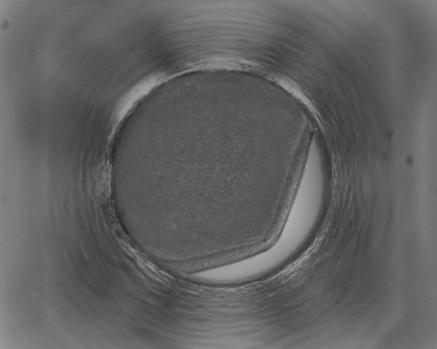 X0000065261067200603031823