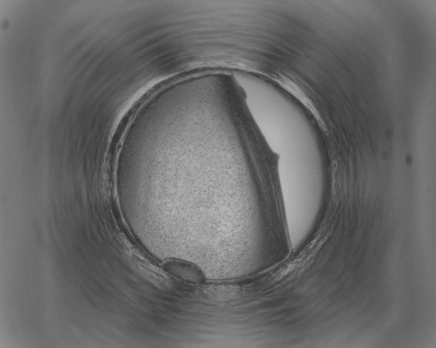 X0000065261068200603031823