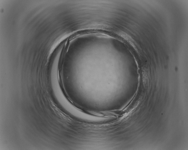 X0000065261069200603031823