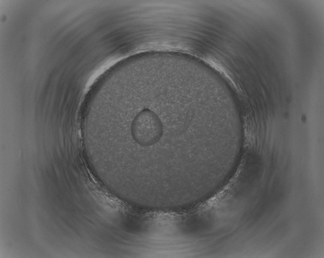 X0000065261070200603031823