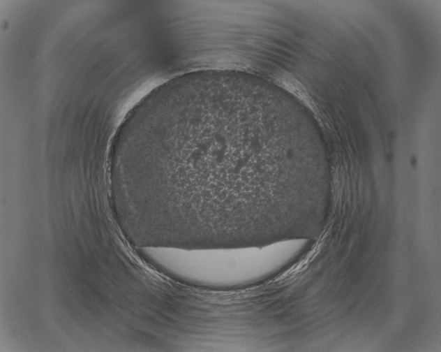 X0000065261071200603031823