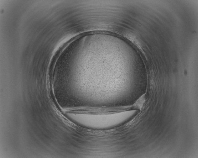 X0000065261072200603031823