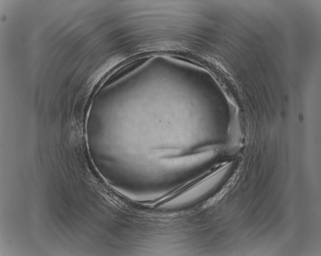 X0000065261073200603031823