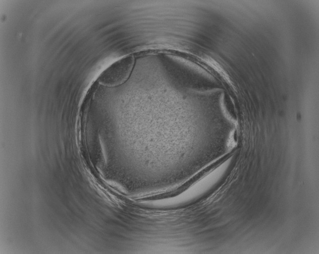 X0000065261076200603031823