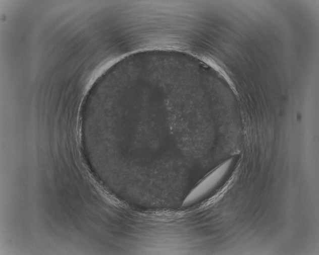 X0000065261077200603031823