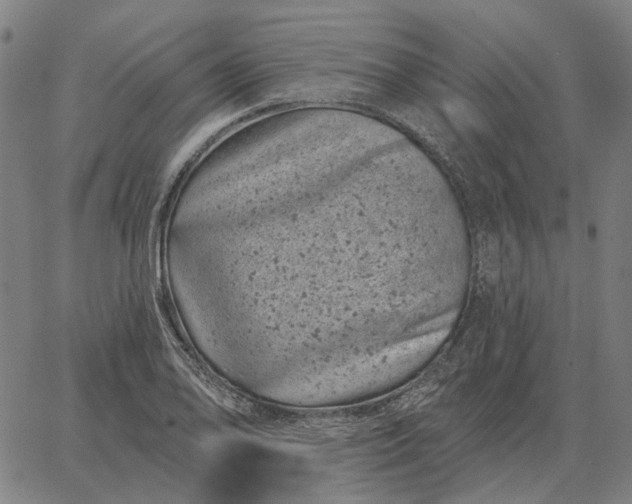 X0000065261078200603031823