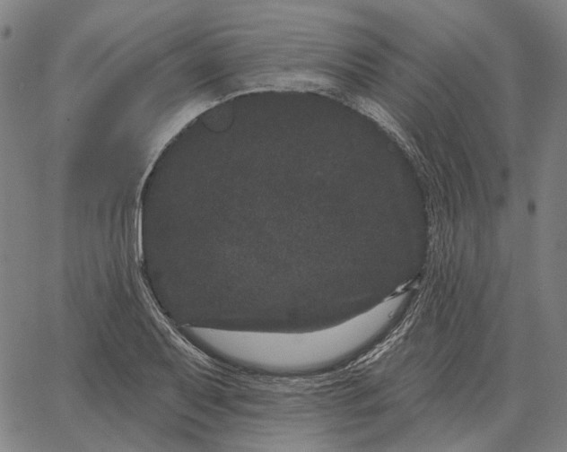 X0000065261079200603031823