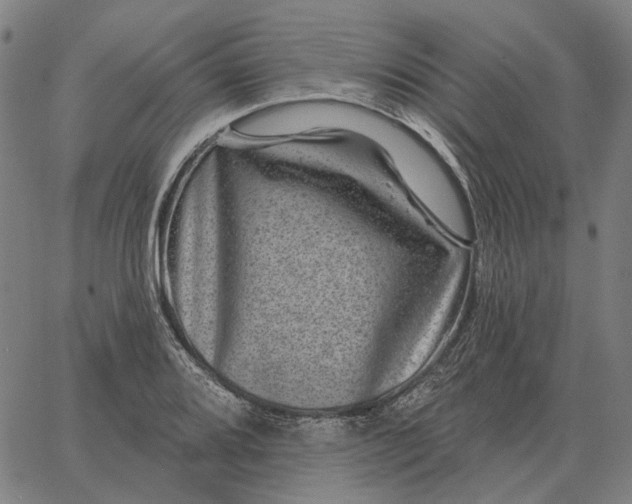 X0000065261080200603031823