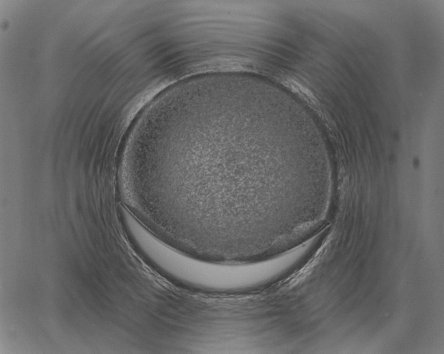 X0000065261081200603031822