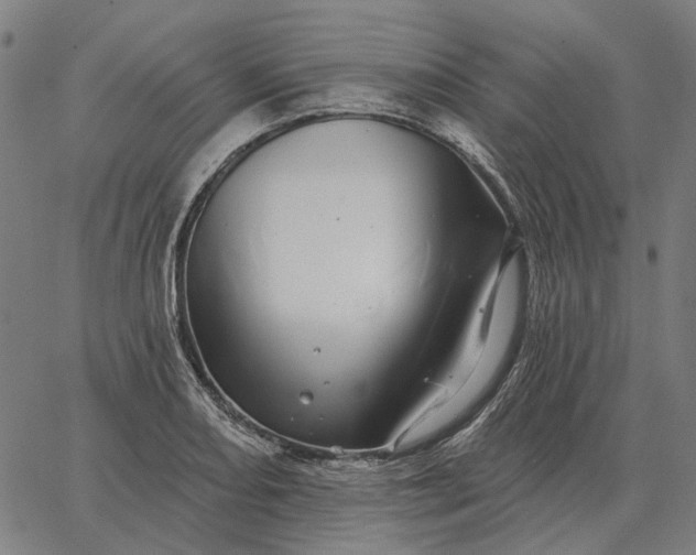 X0000065261082200603031822