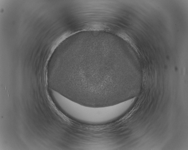 X0000065261083200603031822