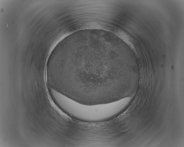 X0000065261084200603031822