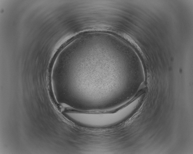 X0000065261085200603031822