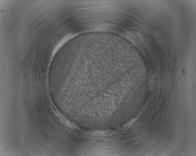 X0000065261086200603031822