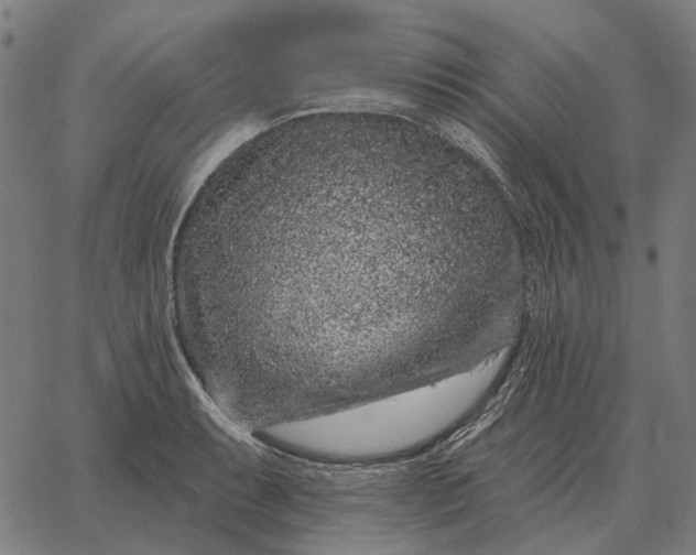 X0000065261087200603031822